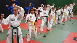 Taekwondo Classes For Kids