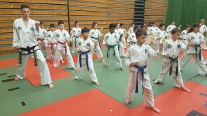 Taekwondo classes for children