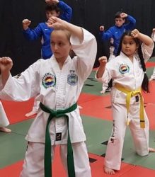 Taekwondo Classes For Kids, join us now for a free lesson!