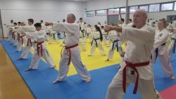 Veterans Taekwondo